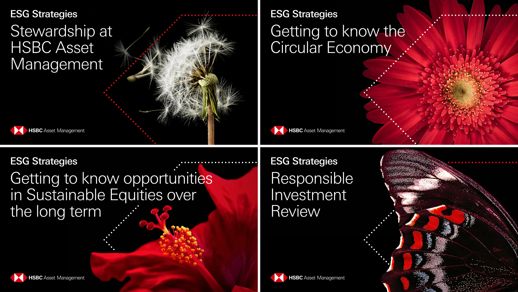 ESG Strategies video thumbnails — four titles over macro nature photography of seeds, flowers and a butterfly wing.